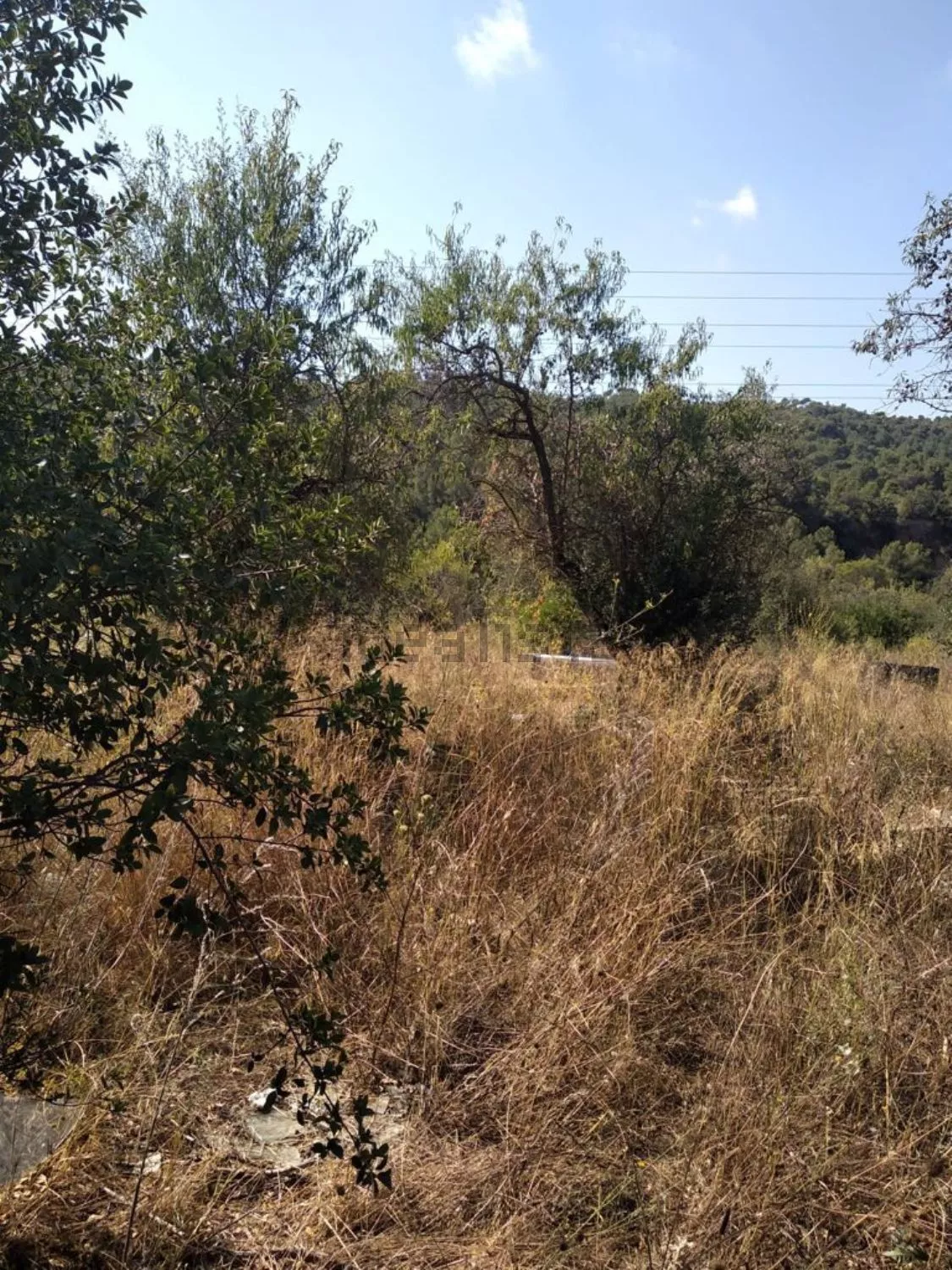 Terreno en venta en calle Major, km 25