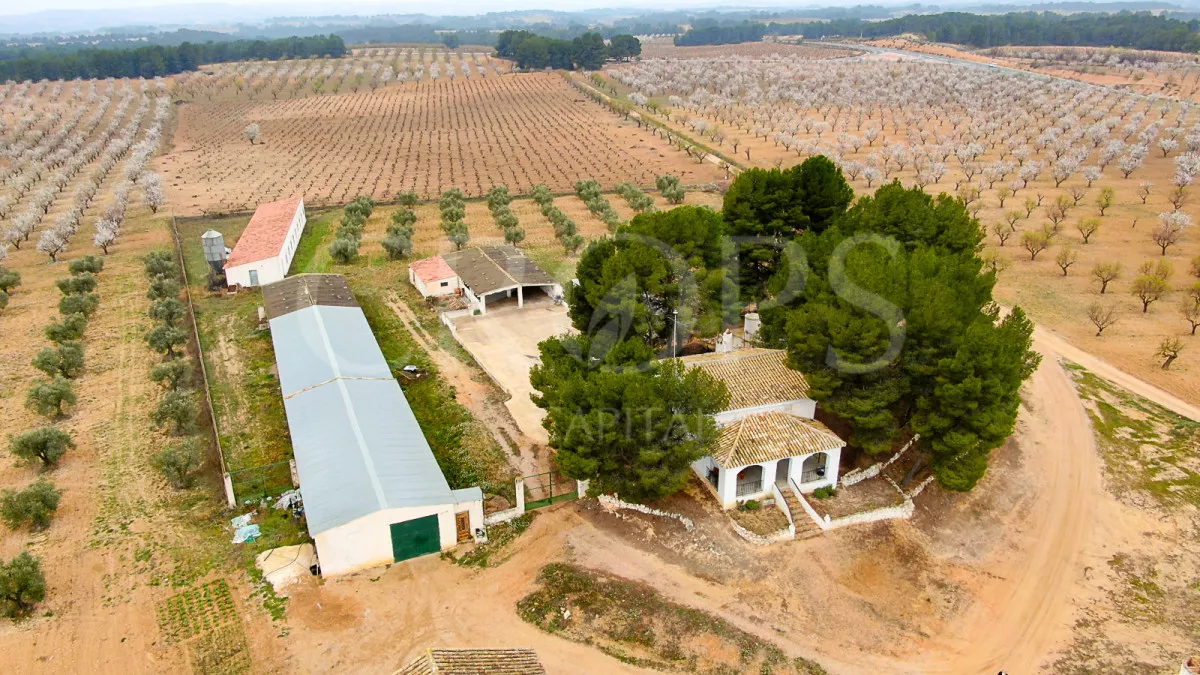 Finca agrícola y residencial en Valencia