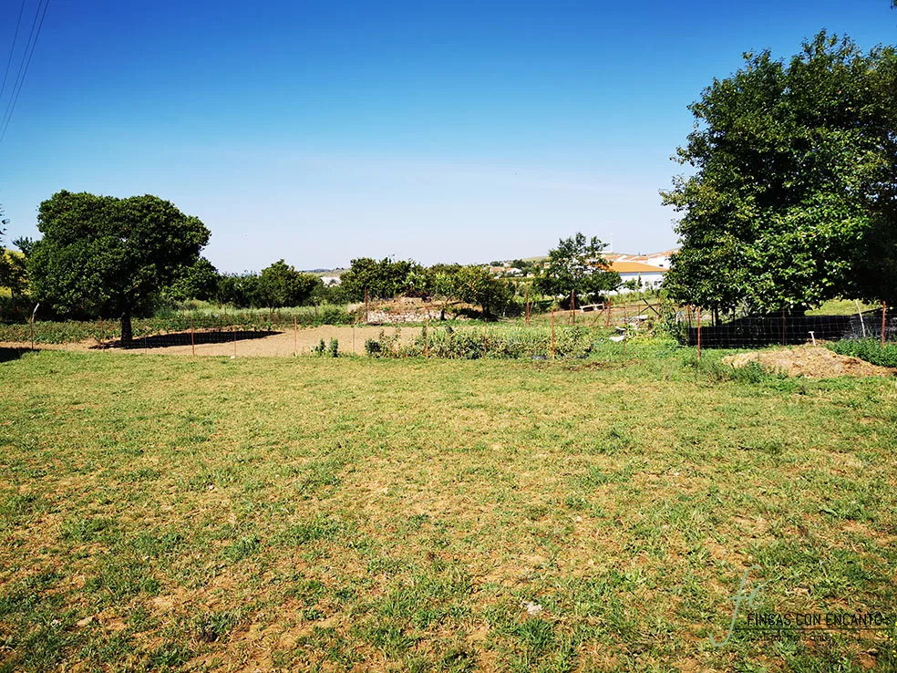 Finca junto a Cazalla de la Sierra