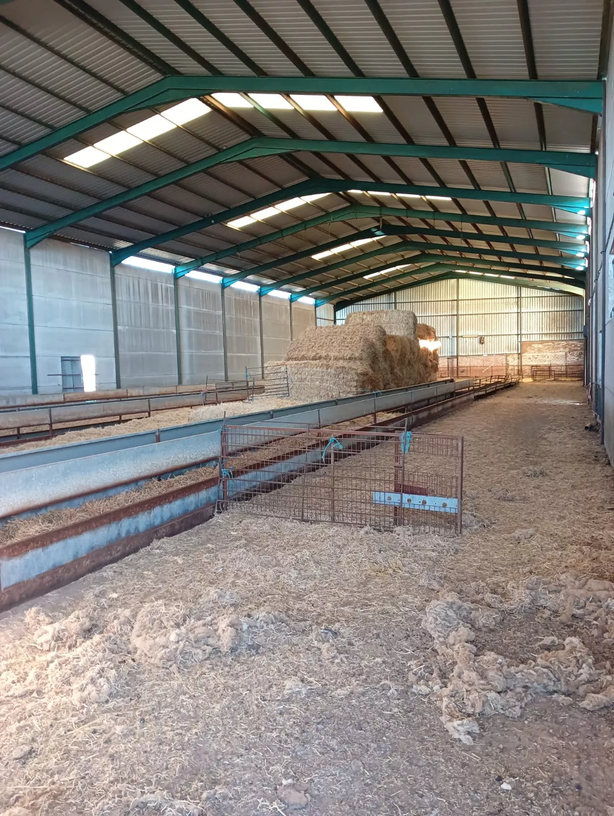 CARRETERA NAVAHERMOSA