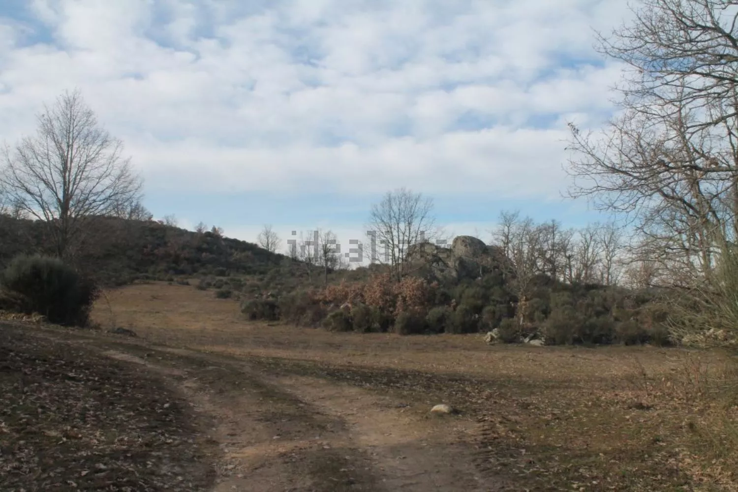 Finca Rústica en Bermellar | Castilla y León | 485.000m2