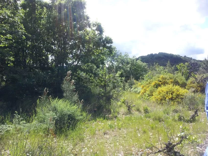 Finca en venta en Mogarraz | Salamanca | 953 m2