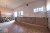 FINCA DE PISTACHOS EN EL SUR DE ESPAÑA