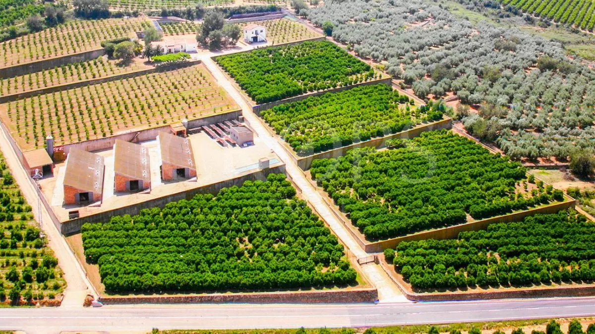 Finca de Ocio, Agrícola y Ganadera, Tarragona