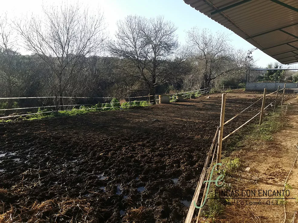 Finca en Burguillos a 30 minutos de Sevilla