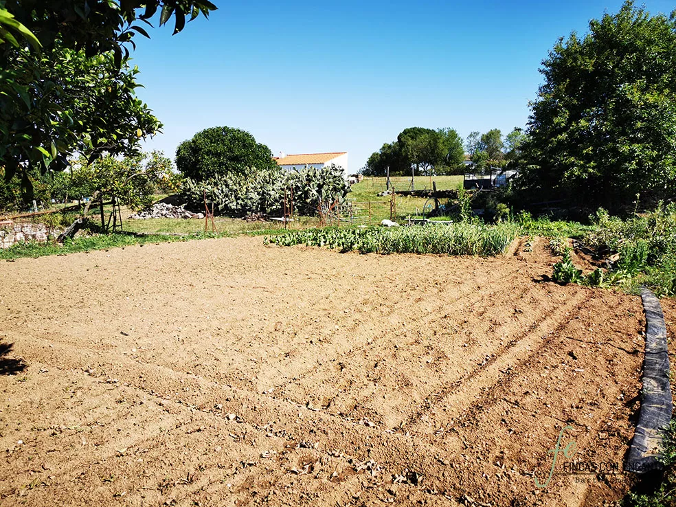 Finca junto a Cazalla de la Sierra