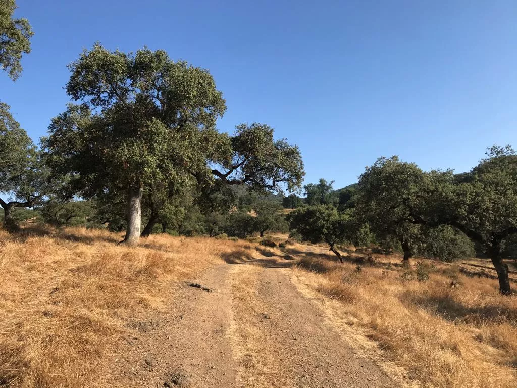 Se vende maravillosa finca de 18 hectáreas. PARQUE NATURAL SIERRA DE ARACENA Y PICOS DE AROCHE