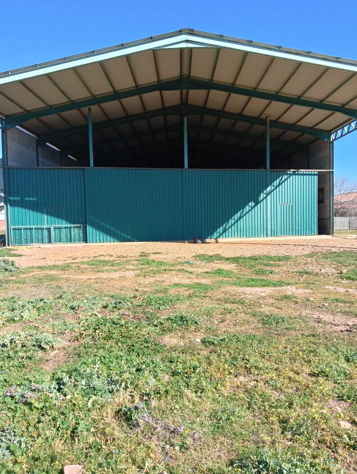 5.000 olivos en Pantano de Finisterre con nave | Portal Fincalista