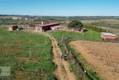 FINCA DE PISTACHOS EN EL SUR DE ESPAÑA