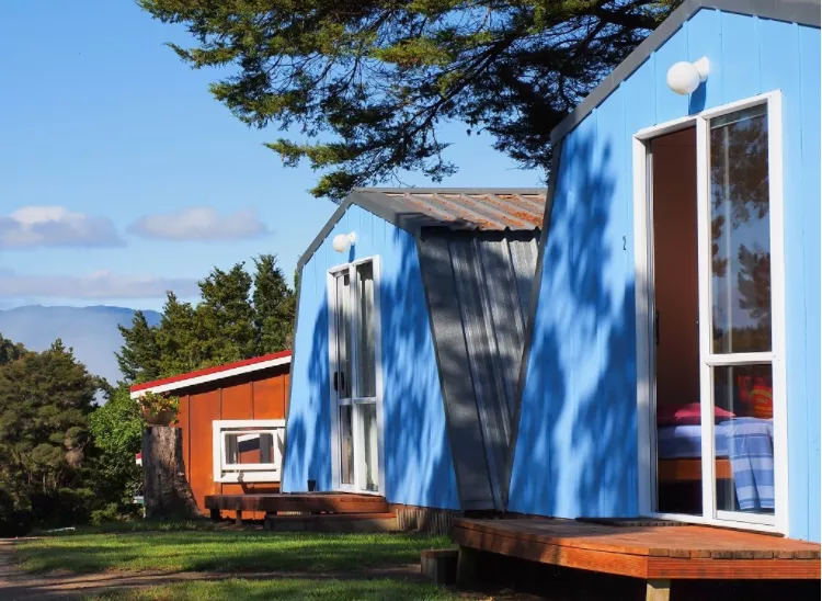 5.000 olivos en Pantano de Finisterre con nave | Portal Fincalista