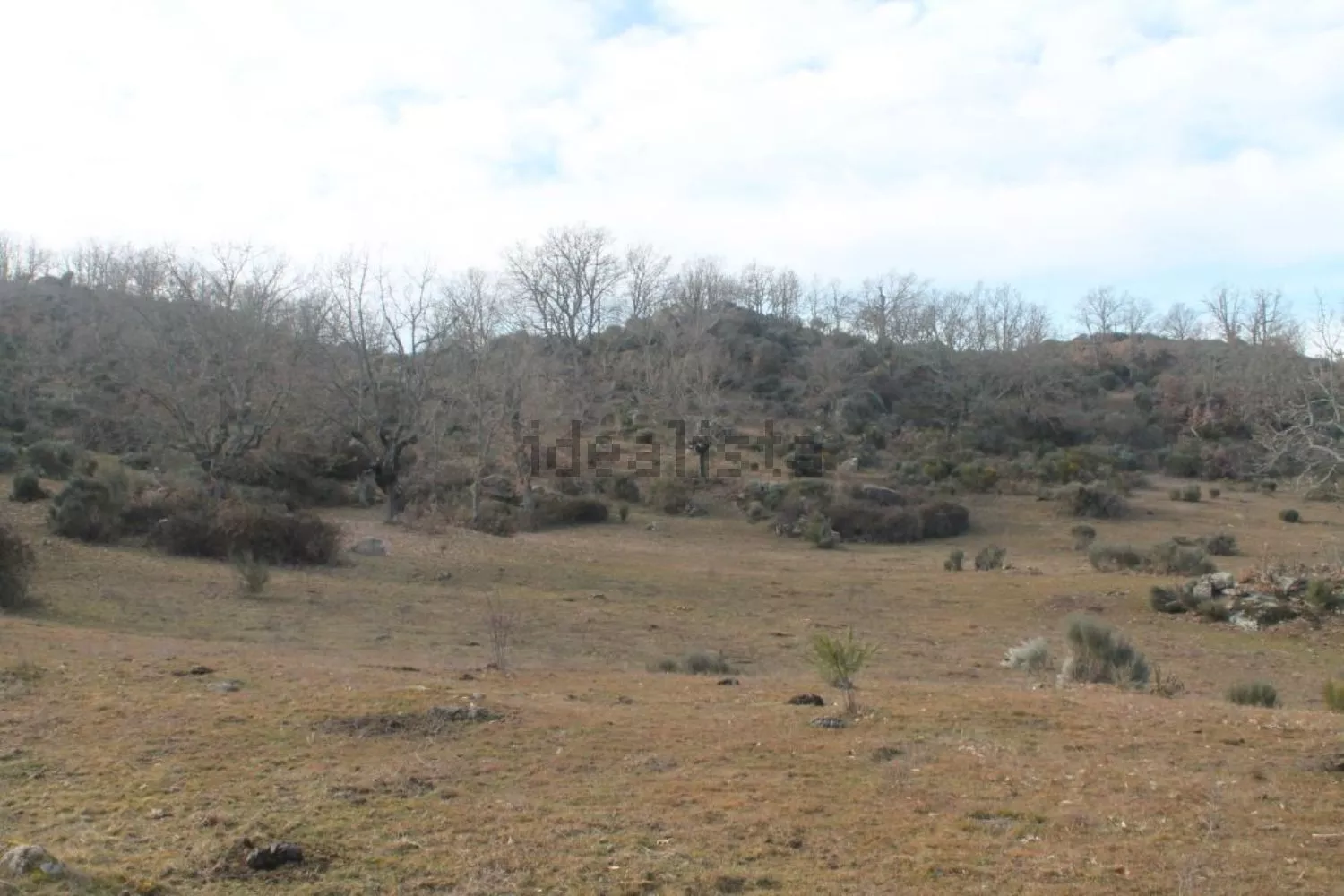 Finca Rústica en Bermellar | Castilla y León | 485.000m2