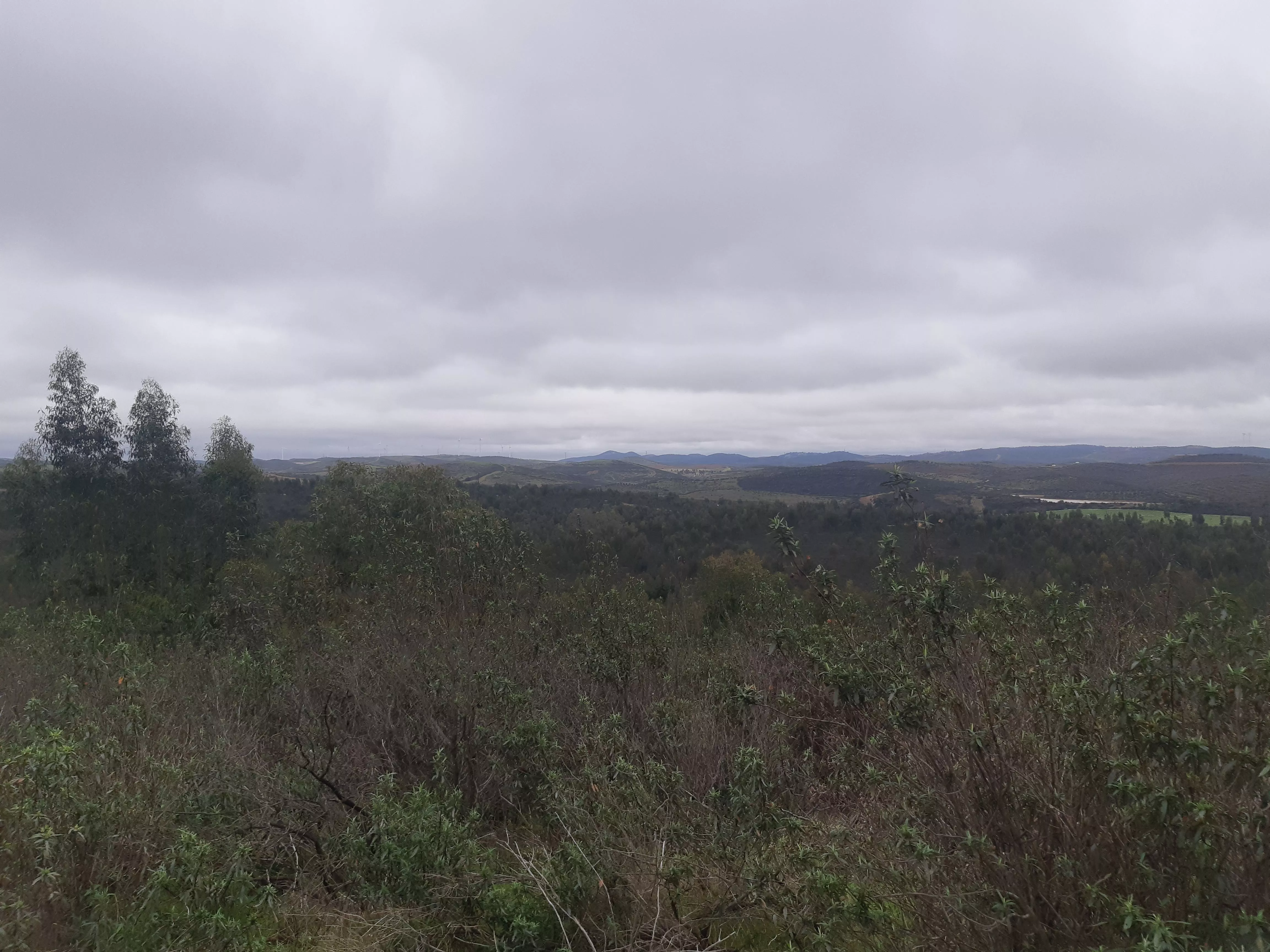 Finca de Regadío en Puebla de Guzmán