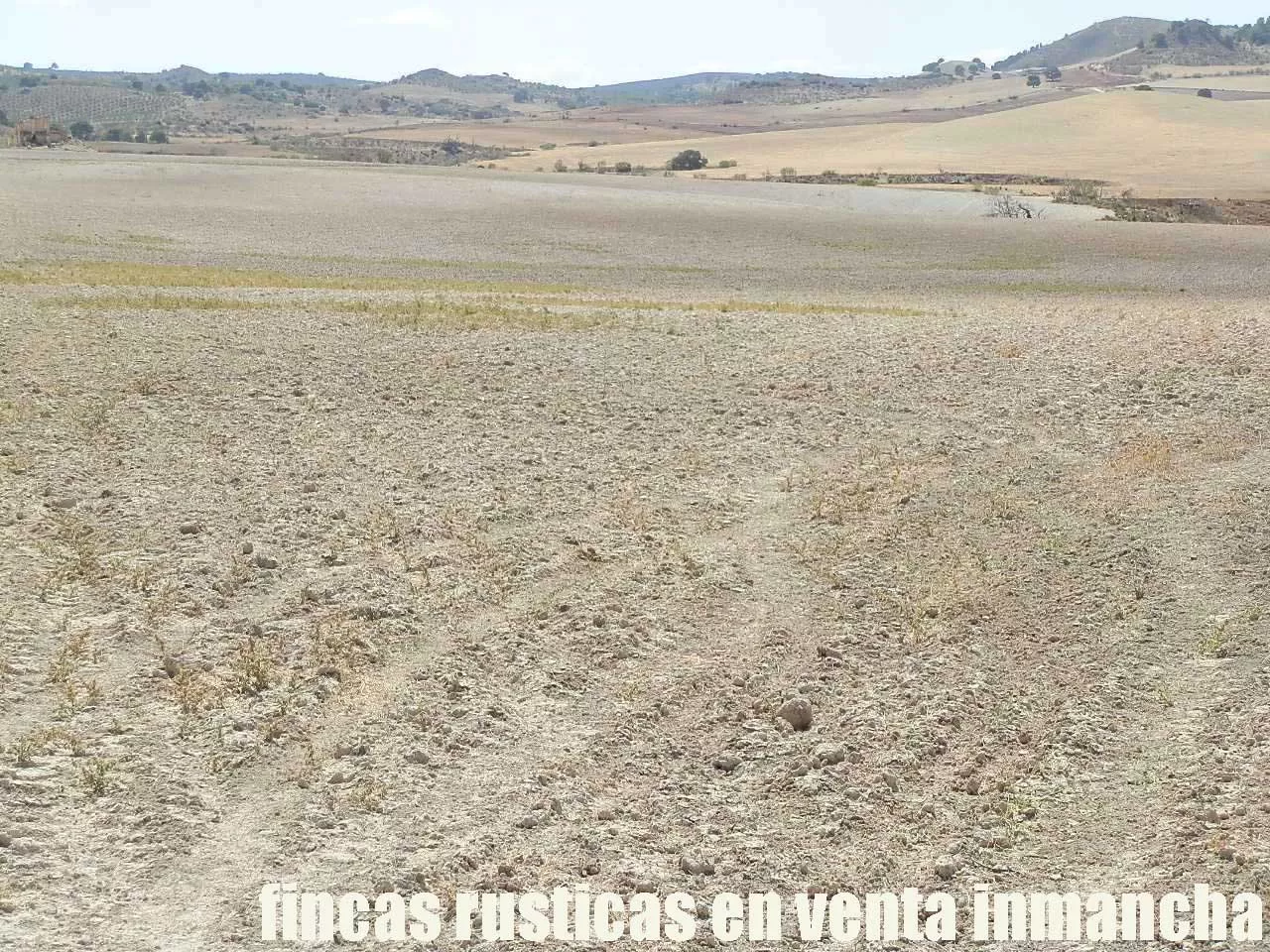 Finca en venta labor-olivar-pastos Jaén | 250 ha.| Inmancha