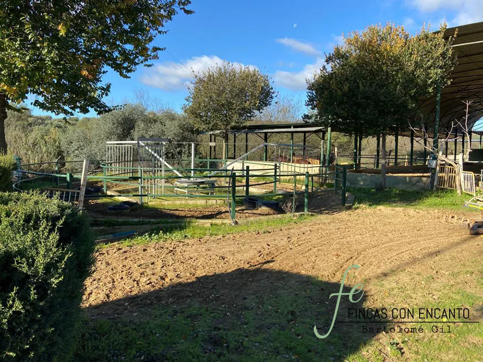 Finca en Burguillos a 30 minutos de Sevilla