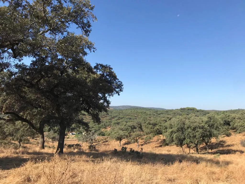 Se vende maravillosa finca de 18 hectáreas. PARQUE NATURAL SIERRA DE ARACENA Y PICOS DE AROCHE