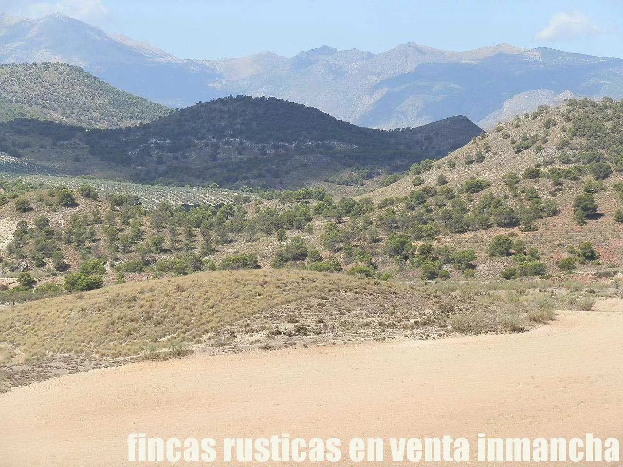 Finca en venta labor-olivar-pastos Jaén | 250 ha.| Inmancha