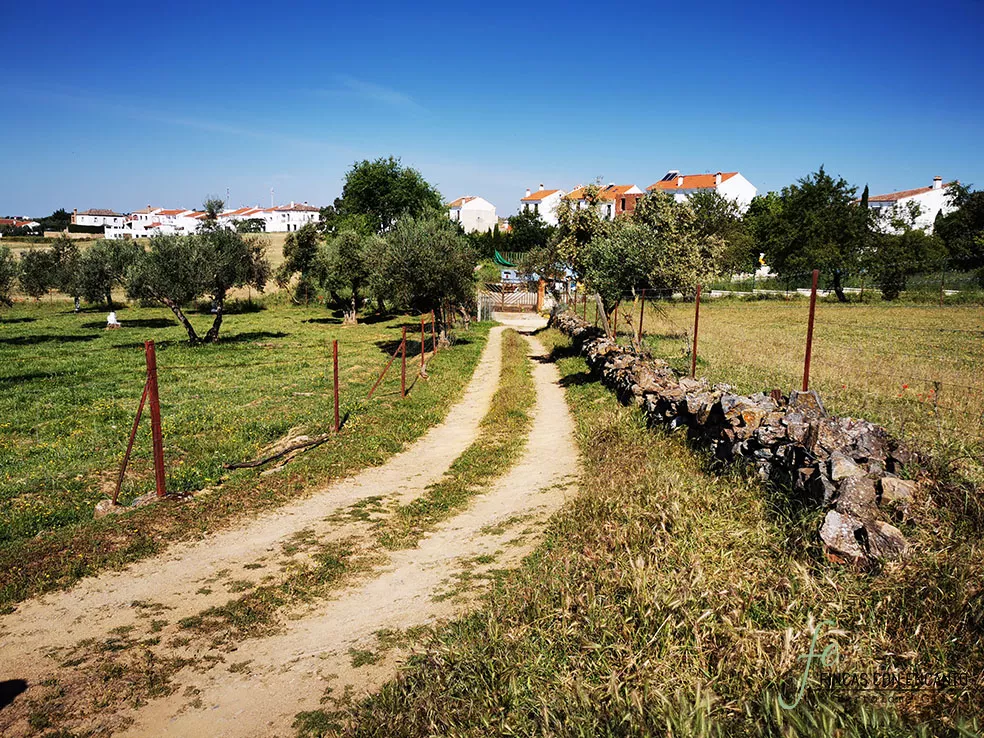 Finca junto a Cazalla de la Sierra