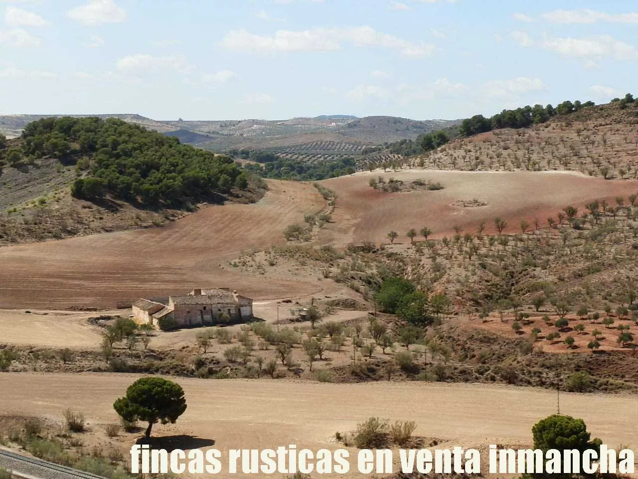 Finca en venta labor-olivar-pastos Jaén | 250 ha.| Inmancha