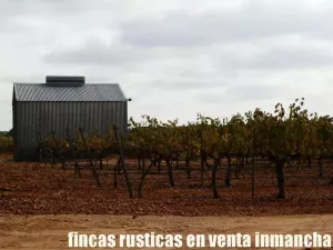finca en venta 42 has viña regadío Cuenca