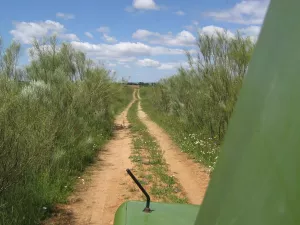 Finca 25 has. Viñedo/Olivar ECOLOGICO, RIEGO