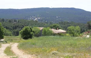 Finca con viñedo y masia rural