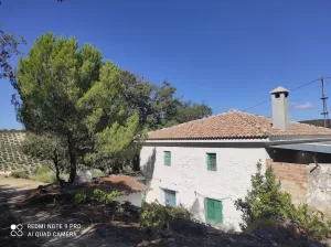 Finca de olivar