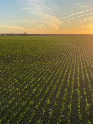 Finca rústica de regadío con derechos de pac