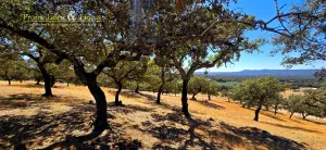 Venta de finca de recreo de 9,6 hectáreas.