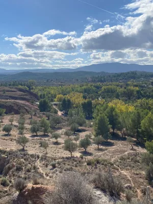 VENTA Olivar Alborache