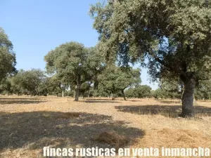 finca en venta 2.665 has. labor riego caza