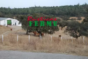 Finca ganadera en Sevilla