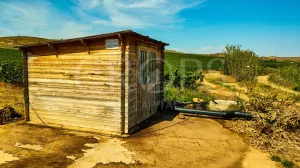 Finca de regadío en Albalate de Cinca