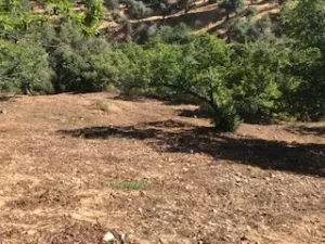 FINCA EN VENTA EN SIERRA DE ARACENA Y PICOS