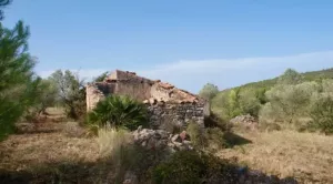 EN VENTA FINCA RÚSTICA