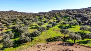 Finca agrícola y ganadera en Córdoba