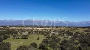 Finca con casa en venta en Sierra de Gredos