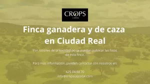 En venta finca ganadera en Ciudad Real