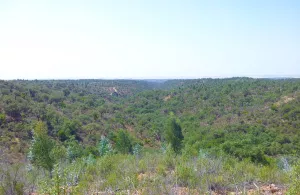 Finca  de caza mayor de 1.000 hectáreas