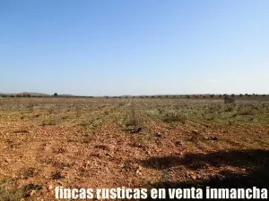 finca venta 22 has labor riego en Valdepeñas