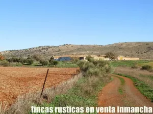 finca en venta 118 has. ciudad real