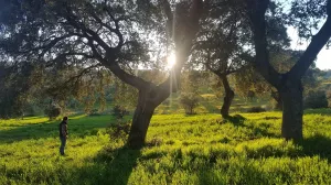 FINCA ECOLÓGICA