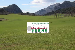 Finca ganadera y de cultivo en Ronda