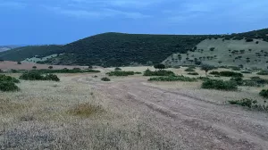 Finca de recreo con explotación agropecuaria