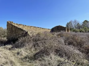 ¡Preciosa finca en la Carbonera!