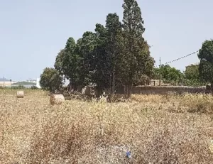 Terreno no urbanizable en Palma De Mallorca