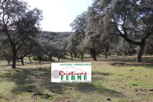 Finca ganadera Vva de Córdoba – Cardeña