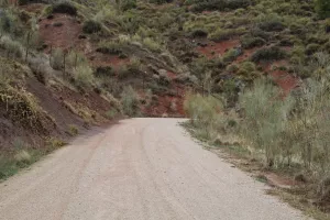 FINCA DE CAZA EN JAEN - 1428