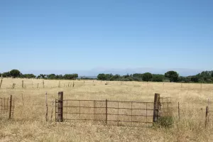 FINCA DE RECREO EN TOLEDO