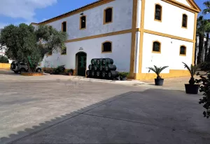 Bodega de vinos y brandy DO Jerez