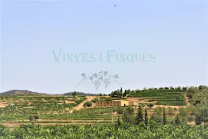 Bodega con viñedo en DO Priorat